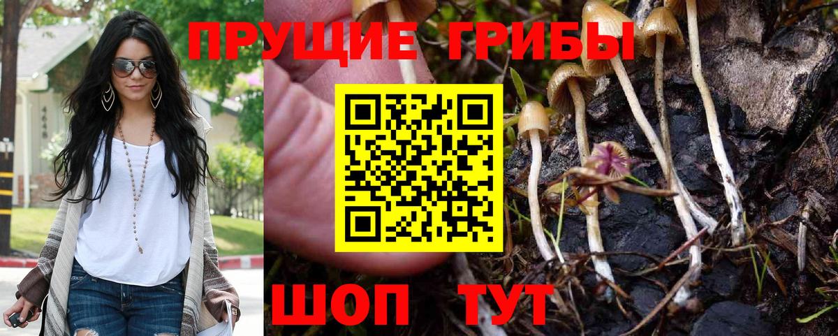 Псилоцибиновые грибы Psilocybine cubensis Нурлат