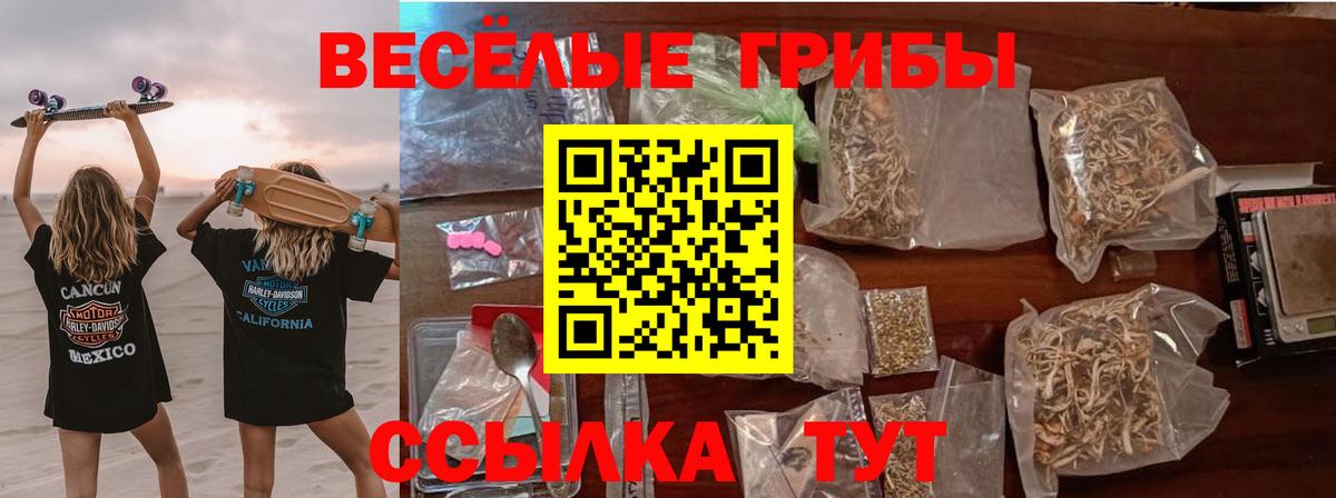 Галлюциногенные грибы ЛСД  Вход с VPN  Псилоцибиновые грибы Magic Shrooms  Нурлат 